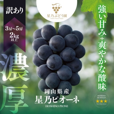 【訳あり】星乃ピオーネ 3房～5房(2kg以上)