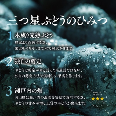 【訳あり】星乃ピオーネ 3房～5房(2kg以上)