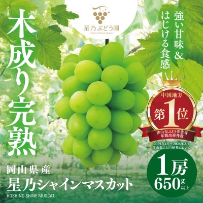 【三つ星ブランド】星乃シャインマスカット 数量限定 (岡山県産) 1房(650g以上)