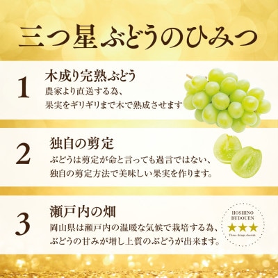 【三つ星ブランド】星乃シャインマスカット 数量限定 (岡山県産) 1房(650g以上)