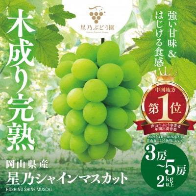 星乃 シャインマスカット 2kg以上 3～5房 数量限定 岡山県産