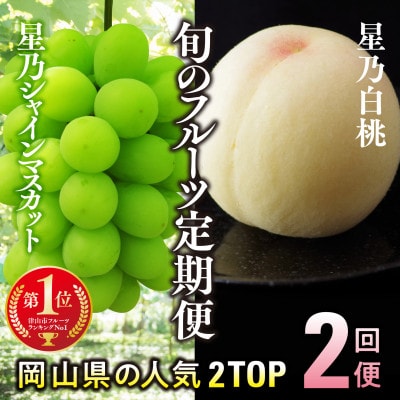 【発送月固定定期便】【人気セット】星乃フルーツ 桃+シャインマスカット全2回