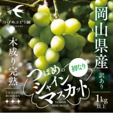 【訳あり】初なりシャインマスカット 限定数量1kg以上(岡山県産)