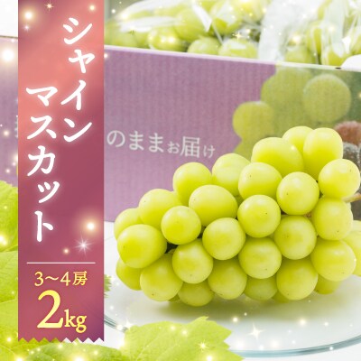 シャインマスカット　2kg(3～4房)