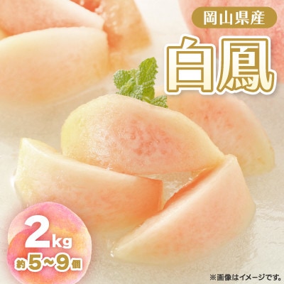 【2026年先行予約】2026年7月中旬頃より発送予定・岡山の白桃・白鳳(2kg箱)