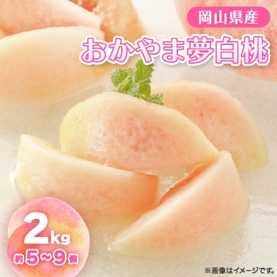 【2026年先行予約】2026年8月上旬頃より発送予定・岡山の白桃・おかやま夢白桃(2kg箱)
