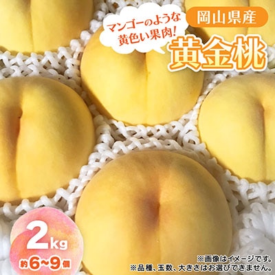 【2026年先行予約】8月上旬頃より発送予定・岡山県産・マンゴーの様な黄色い桃・黄金桃(2kg箱)
