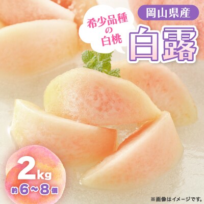 【2025年先行予約】2025年9月上旬頃より発送予定・希少品種・岡山の白桃・白露(2kg箱)