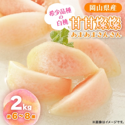 【2025年先行予約】2025年9月上旬頃より発送予定・希少品種の岡山の白桃・甘甘燦燦(2kg箱)