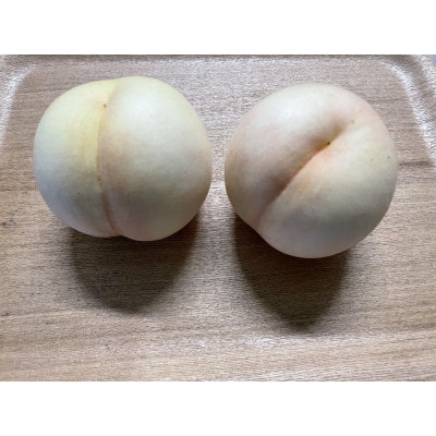 【2025年8月下旬より順次発送予定】しっかりした果肉と果汁たっぷりの岡山の白桃・瀬戸内　1.5kg