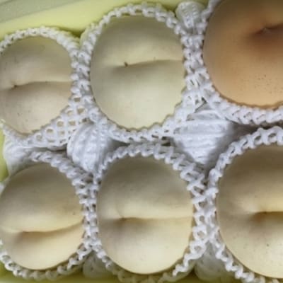 【先行予約・2026年9月上旬頃より発送予定】しっかりした果肉と果汁たっぷり岡山の白桃(2kg箱)