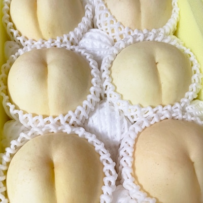 【先行予約・2026年9月上旬頃より発送予定】しっかりした果肉と果汁たっぷり岡山の白桃(2kg箱)