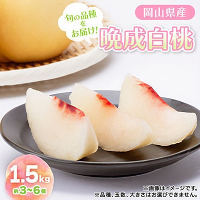 【先行予約2026年9月上旬頃より発送予定】しっかりした果肉と果汁たっぷり岡山の白桃(1.5kg箱)