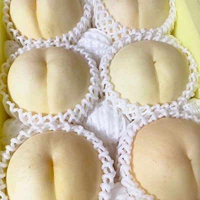 【先行予約2026年9月上旬頃より発送予定】しっかりした果肉と果汁たっぷり岡山の白桃(1.5kg箱)