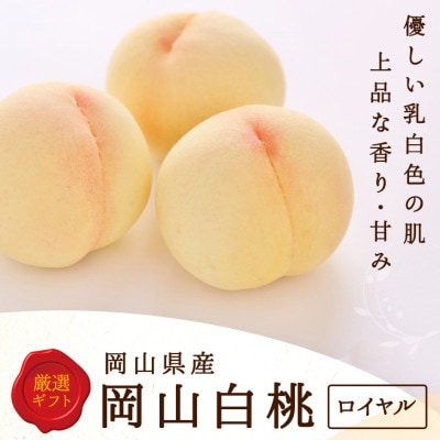 岡山県産　白桃 6玉(1.5kg以上) 等級:ロイヤル 化粧箱入り