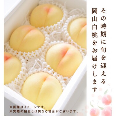 岡山県産　白桃 6玉(1.5kg以上) 等級:ロイヤル 化粧箱入り