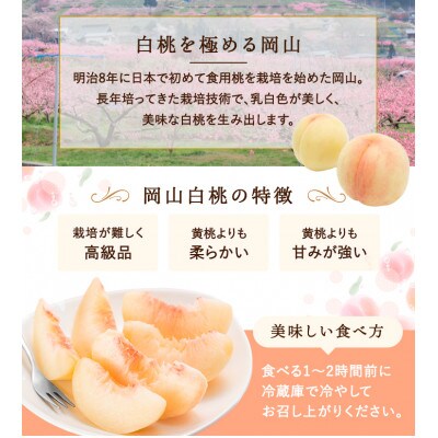 岡山県産　白桃 8玉(2.0kg以上) 等級:ロイヤル 化粧箱入り
