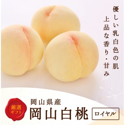 岡山県産　白桃 5玉(1.5kg以上) 等級:ロイヤル 木箱入り