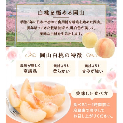 岡山県産　白桃 5玉(1.5kg以上) 等級:ロイヤル 木箱入り