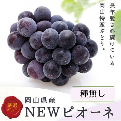 岡山県産 ぼっけえ大粒ニューピオーネ1房(800g以上) 化粧箱入り