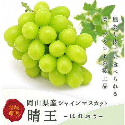 岡山県産 シャインマスカット『晴王』 3～5房 (約2kg)