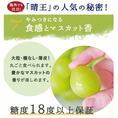 岡山県産 シャインマスカット『晴王』 3～5房 (約2kg)