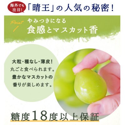 岡山県産 シャインマスカット『晴王』2房(1房480g以上) 化粧箱入り