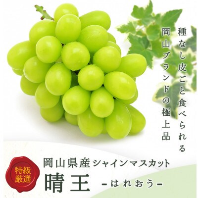 岡山県産詰合/ニューピオーネ2房(1房480g以上)・シャインマスカット晴王2房(1房480g以上)
