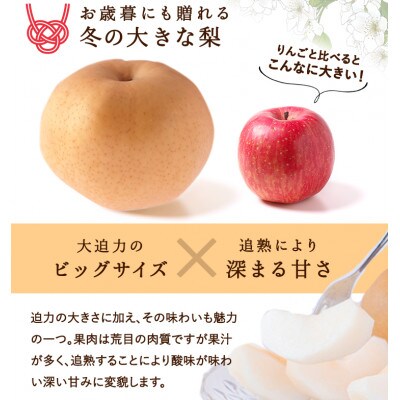 岡山県産 あたご梨 4～7玉(約4kg) 化粧箱入り
