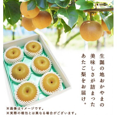 岡山県産 あたご梨 4～7玉(約4kg) 化粧箱入り