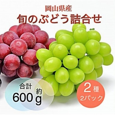 【2025年9月より順次発送】岡山県産 旬のぶどう詰合せ 2種2パックセット