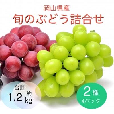 【2025年9月より順次発送】岡山県産 旬のぶどう詰合せ 2種4パックセット