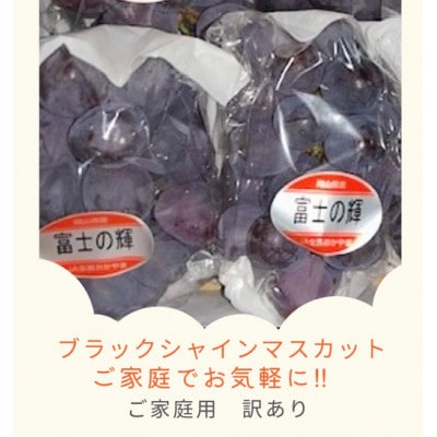 ご家庭用(訳あり) 岡山県産 ブラックシャインマスカット 2-4房(約1kg)