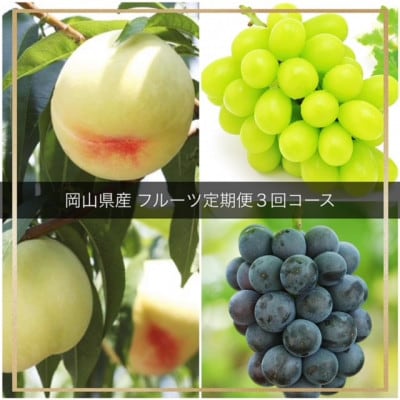 【発送月固定定期便】岡山県産 フルーツ定期便全3回