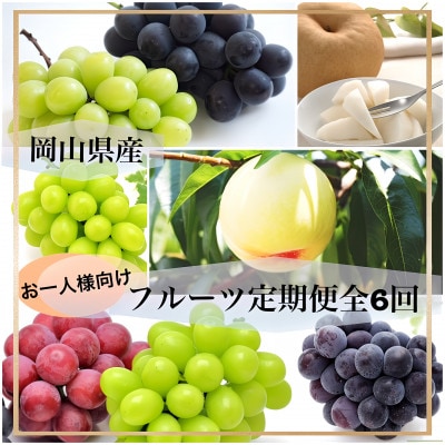 【発送月固定定期便】岡山県産 フルーツ定期便〈お一人様向け〉全6回