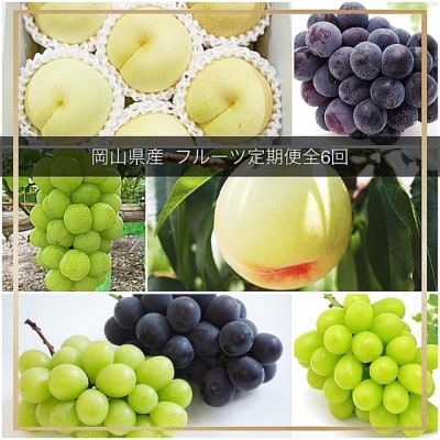 【発送月固定定期便】岡山県産  フルーツ定期便全6回