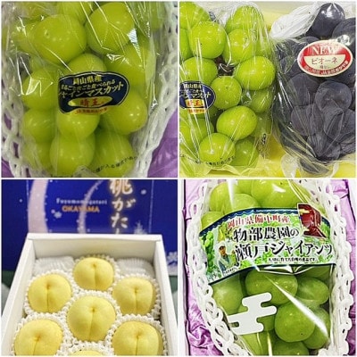 【発送月固定定期便】岡山県産  フルーツ定期便全4回