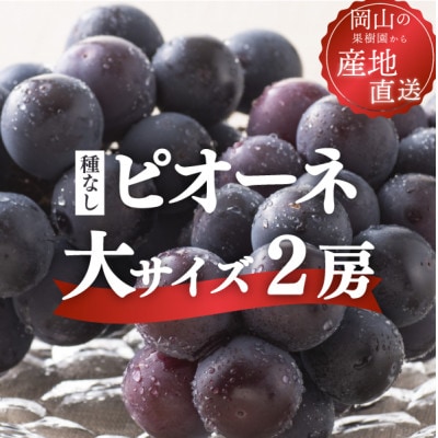 【きよとうファーム】ピオーネ 甘さも濃厚 大サイズ2房入(岡山県産)
