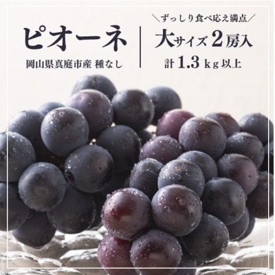 【きよとうファーム】ピオーネ 甘さも濃厚 大サイズ2房入(岡山県産)