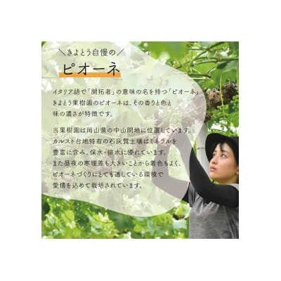 【925】【訳あり】ピオーネ 3-5房入/計2.0kg(岡山県産)
