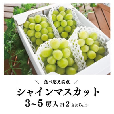 シャインマスカット 3-5房/計2kg～ (岡山県産) 果樹園こだわりの「きよとう」シャイン!