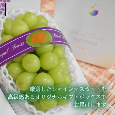 【2026年先行予約】【厳選品】大粒シャインマスカット1房/700g以上(岡山県産)
