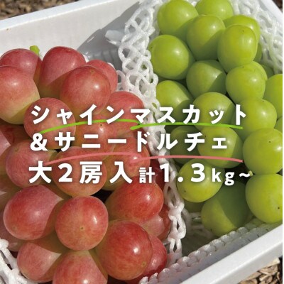 【きよとうファーム】大粒シャインマスカット&サニードルチェ 大2房入/計1.3kg~(岡山県産)