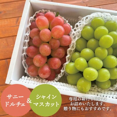【きよとうファーム】大粒シャインマスカット&サニードルチェ 大2房入/計1.3kg~(岡山県産)