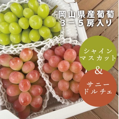 【きよとうファーム】シャインマスカット&希少品種のサニードルチェ 3-5房/計2kg~(岡山県産)