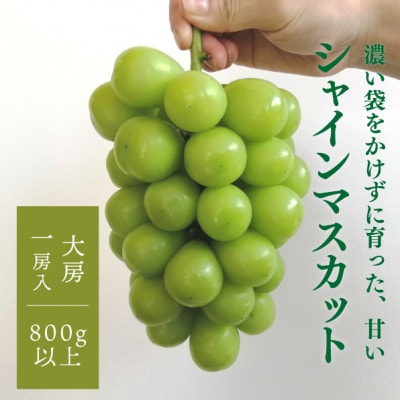【きよとうファーム】【数量限定】大粒シャインマスカット厳選品1房 /800g以上(岡山県産)