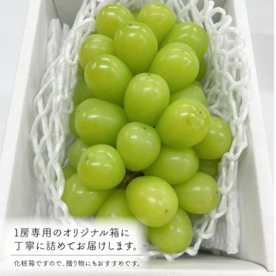 【きよとうファーム】【数量限定】大粒シャインマスカット厳選品1房 /800g以上(岡山県産)