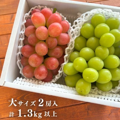 【きよとうファーム】シャインマスカット&生産者いちおし葡萄 大サイズ2房入(岡山県産)