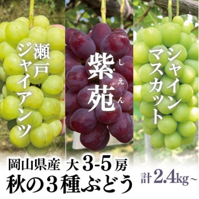 【きよとうファーム】シャインマスカット・瀬戸ジャイアンツ・紫苑　大3-5房 計2.4kg～/岡山県