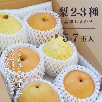 【きよとうファーム】梨好きのための、梨2-3食べ比べ ご家庭用 5-7玉(岡山県産)